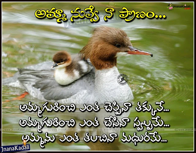 heart-touching-best-words-about-mother-in-telugu-amma-kavithalu-in-telugu telugu quotes about mother and father, amma kavithalu, naanna kavithalu, inspirational father and mother quotes, best father quotes in telugu, father and mother hd wallpapers free download,mother telugu quotes, amma kavithau in telugu, famous mother and baby hd wallpapers, mother and baby hd wallpapers free download, latest trending amma kavithalu, online telugu amma kavithalu