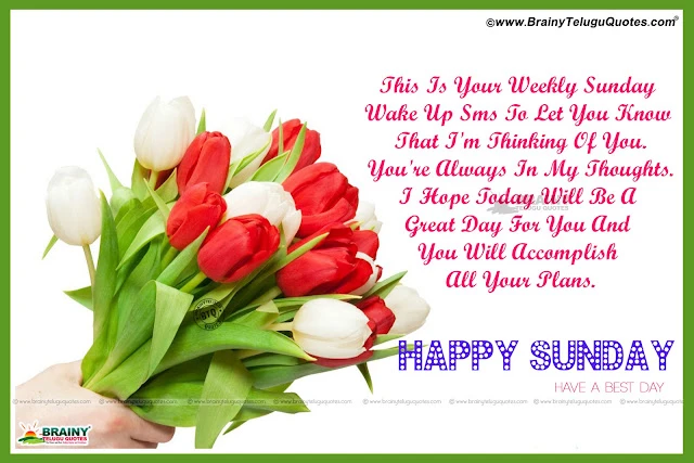 English-hindi-suprabhath-shayari-sunday-images-greetings 2017 Nee Hindi Good Morning Messages and Quotes, Hindi Good morning cool shayri for love, Good Morning Subhah Suprabath Images and Gallery, All hindi New Good morning messages quotes, hindi inspirational good mornig quotes images online.New Telugu Happy Sunday Pictures with Nice Messages online, Top Telugu Happy Sunday Messages and Wallpapers, Sunday Inspirational Good morning Quotes images, Famous telugu Good Morning Pics, Telugu Nice Good Morning Whatsapp Share Chat Images.