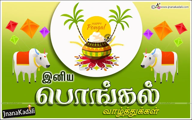new-tamil-pongal-makara-sankranti-kavithai-tamil-pongal-festival-celebrations-story-quotations Here is a 2018 Tamil Pongal Messages in Tamil Language, Tamil Happy Pongal And Best Wishes Greetings, Tamil Pongal Messages for Family Members, Tamil Pongal Songs and Wishes Quotes, Tamil Best Pongal Greetings online, Popular Pongal Tamil Kavithai for Facebook, Tamil New Pongal Latest Wallpapers Free Online.tamil Pongal 2018 Greetings and Messages in Tamil Language, Popular Tamil Makara Sankranti Wallpapers with Nice QUotations, New Tamil Language Makara Sankranti Wishes for Friends, Makara Sankranti Tamil Greetings online, Makara Sankranti Tamil Festival Celebrations, Makara Sankranti Pot Images and Nice Kavithai Greetings, Tamil Popular Makara Sankranti Quotations Free