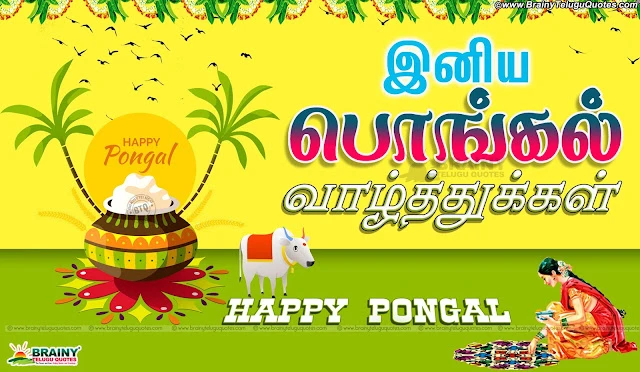 new-tamil-pongal-makara-sankranti-kavithai-tamil-pongal-festival-celebrations-story-quotations Tamil Pongal Greetings for Wallpapers online, Tamil Pongal Messages and Wallpapers Free, Awesome Tamil Language Pongal Lines online, Happy Pongal Best Greetings and Messages, Tamil Pongal Quotations online, Tamil Pongal SMS for Gf, Tamil Pongal Festival Quotes & Wallpapers, Tamil New Pongal Festival Greetings and Gifts Cards Online.tamil Pongal 2016 Greetings and Messages in Tamil Language, Popular Tamil Makara Sankranti Wallpapers with Nice QUotations, New Tamil Language Makara Sankranti Wishes for Friends, Makara Sankranti Tamil Greetings online, Makara Sankranti Tamil Festival Celebrations, Makara Sankranti Pot Images and Nice Kavithai Greetings, Tamil Popular Makara Sankranti Quotations Free.